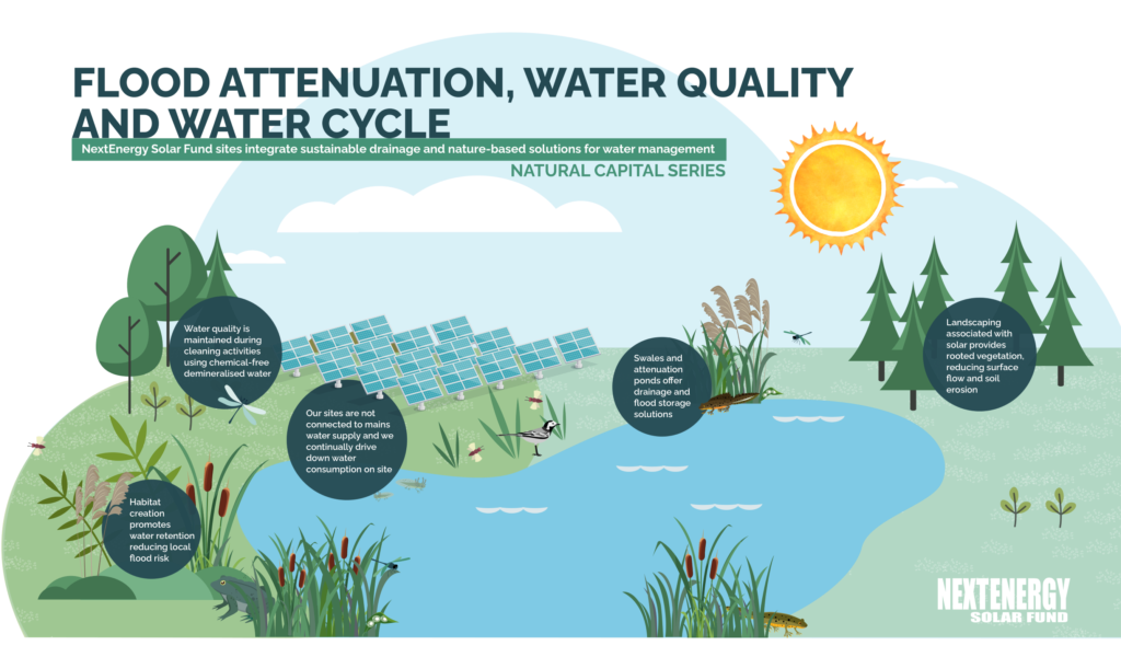 Natural Capital Series: Flood Attenuation, Water Quality and Water ...